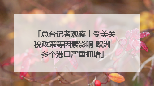 总台记者观察丨受美关税政策等因素影响 欧洲多个港口严重拥堵
