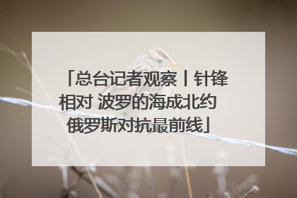 总台记者观察丨针锋相对 波罗的海成北约俄罗斯对抗最前线