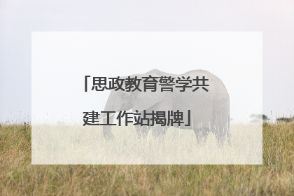 思政教育警学共建工作站揭牌