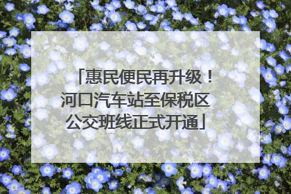 惠民便民再升级！河口汽车站至保税区公交班线正式开通