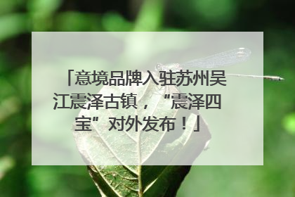 意境品牌入驻苏州吴江震泽古镇，“震泽四宝”对外发布！