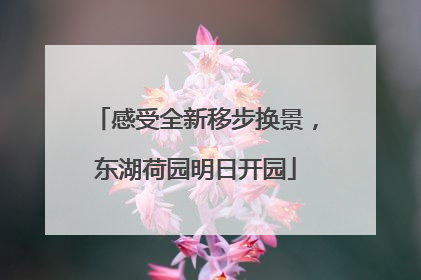 感受全新移步换景，东湖荷园明日开园