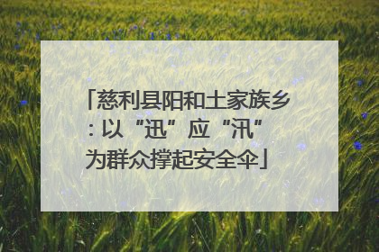 慈利县阳和土家族乡：以“迅”应“汛” 为群众撑起安全伞