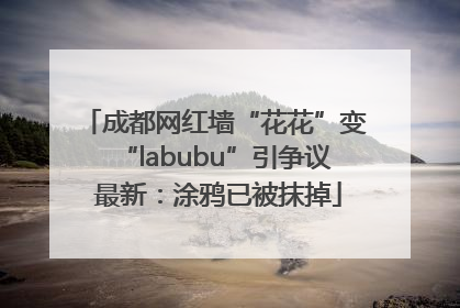 成都网红墙“花花”变“labubu”引争议 最新：涂鸦已被抹掉