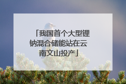 我国首个大型锂钠混合储能站在云南文山投产