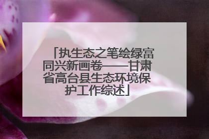 执生态之笔绘绿富同兴新画卷——甘肃省高台县生态环境保护工作综述