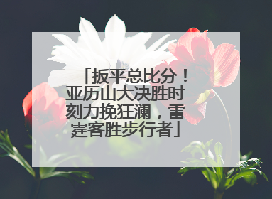 扳平总比分！亚历山大决胜时刻力挽狂澜，雷霆客胜步行者