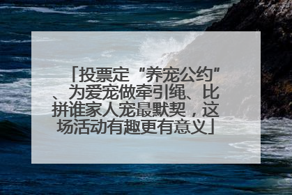 投票定“养宠公约”、为爱宠做牵引绳、比拼谁家人宠最默契，这场活动有趣更有意义