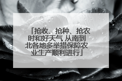 抢收、抢种、抢农时和好天气 从南到北各地多举措保障农业生产顺利进行