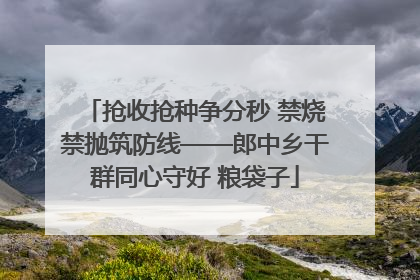 抢收抢种争分秒 禁烧禁抛筑防线——郎中乡干群同心守好 粮袋子