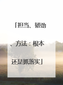 担当、韧劲、方法：根本还是抓落实