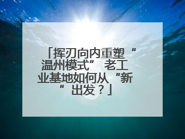 挥刃向内重塑“温州模式” 老工业基地如何从“新”出发？