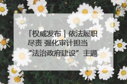 权威发布｜依法履职尽责 强化审计担当 “法治政府建设”主题系列新闻发布会市审计局专场召开