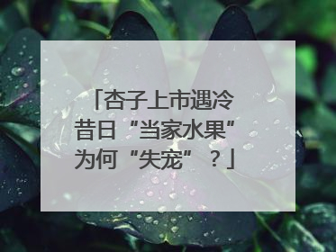 杏子上市遇冷 昔日“当家水果”为何“失宠”？