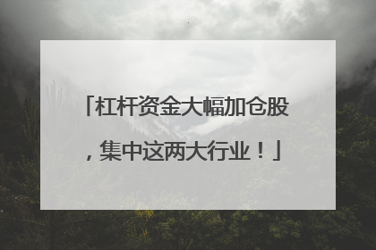 杠杆资金大幅加仓股，集中这两大行业！