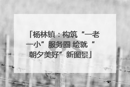 杨林镇：构筑“一老一小”服务圈 绘就“朝夕美好”新图景