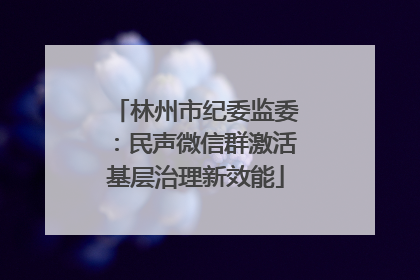 林州市纪委监委：民声微信群激活基层治理新效能