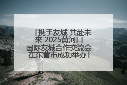 携手友城 共赴未来 2025黄河口国际友城合作交流会在东营市成功举办