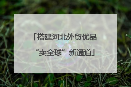 搭建河北外贸优品“卖全球”新通道