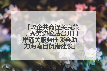 政企共商通关良策，秀英边检站召开口岸通关服务座谈会助力海南自贸港建设