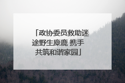 政协委员救助迷途野生麋鹿 携手共筑和谐家园