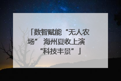数智赋能“无人农场” 海州夏收上演“科技丰景”
