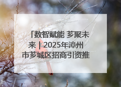数智赋能 芗聚未来｜2025年漳州市芗城区招商引资推介暨“一县一桌菜·语堂家宴”发布会成功举办