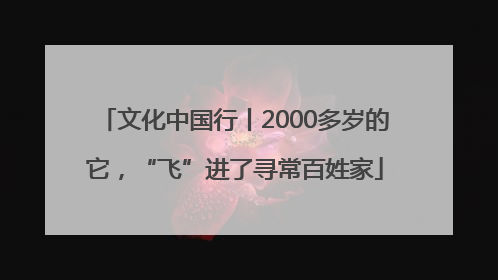 文化中国行丨2000多岁的它，“飞”进了寻常百姓家