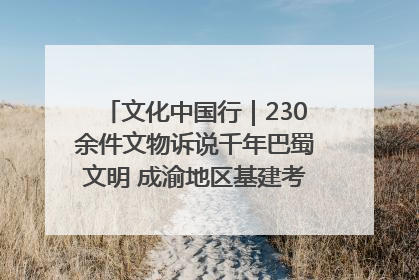 文化中国行｜230余件文物诉说千年巴蜀文明 成渝地区基建考古成果展开展