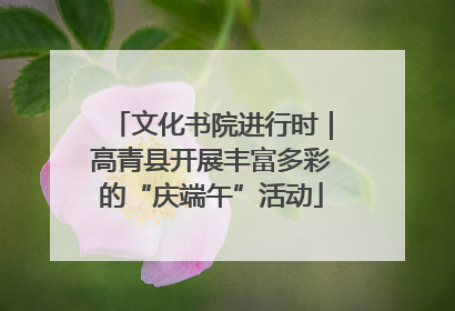 文化书院进行时｜高青县开展丰富多彩的“庆端午”活动