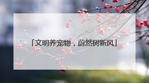 文明养宠物，蔚然树新风