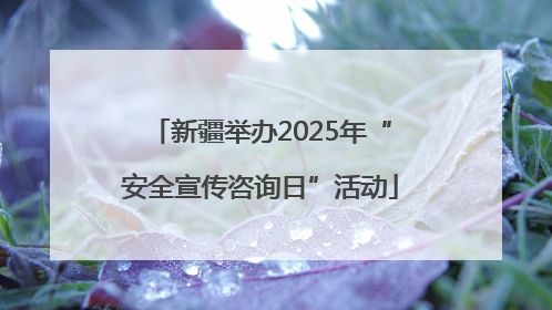 新疆举办2025年“安全宣传咨询日”活动