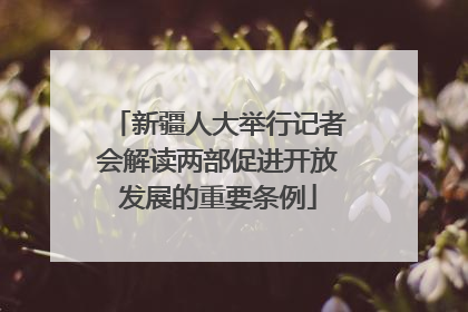 新疆人大举行记者会解读两部促进开放发展的重要条例