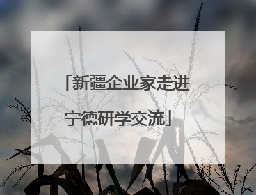 新疆企业家走进宁德研学交流