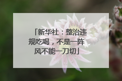 新华社：整治违规吃喝，不是一阵风不能一刀切