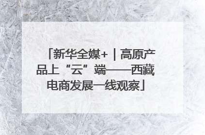 新华全媒+｜高原产品上“云”端——西藏电商发展一线观察