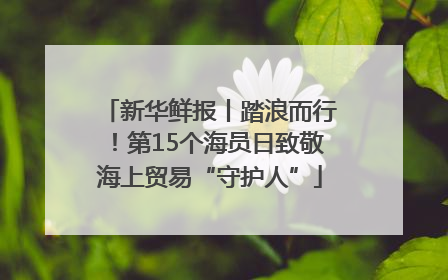 新华鲜报丨踏浪而行！第15个海员日致敬海上贸易“守护人”