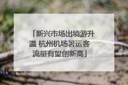新兴市场出境游升温 杭州机场暑运客流量有望创新高