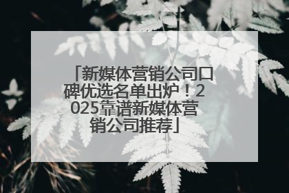 新媒体营销公司口碑优选名单出炉！2025靠谱新媒体营销公司推荐