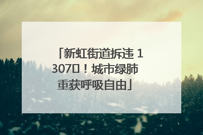 新虹街道拆违 1307㎡！城市绿肺重获呼吸自由