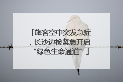 旅客空中突发急症，长沙边检紧急开启“绿色生命通道”