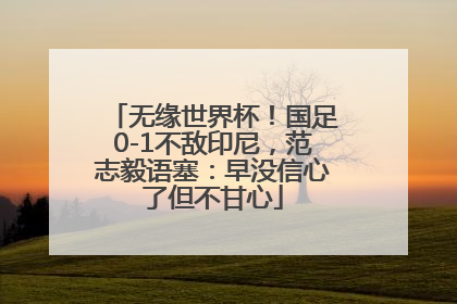 无缘世界杯！国足0-1不敌印尼，范志毅语塞：早没信心了但不甘心