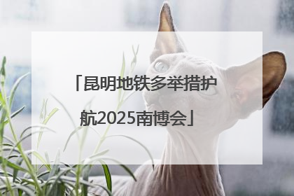 昆明地铁多举措护航2025南博会