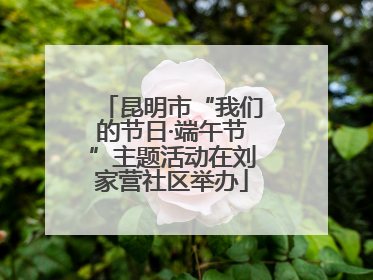 昆明市“我们的节日·端午节”主题活动在刘家营社区举办