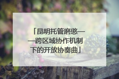 昆明托管磨憨——跨区域协作机制下的开放协奏曲