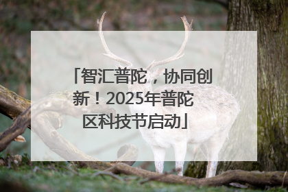 智汇普陀，协同创新！2025年普陀区科技节启动