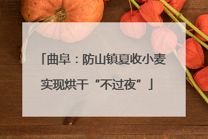 曲阜：防山镇夏收小麦实现烘干“不过夜”