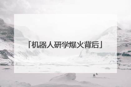 机器人研学爆火背后
