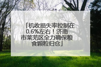 机收损失率控制在0.6%左右！济南市莱芜区全力确保粮食颗粒归仓