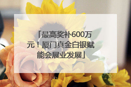 最高奖补600万元！厦门真金白银赋能会展业发展